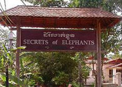 Secrets Of Elephants Hotel Siem Reap Bagian luar foto